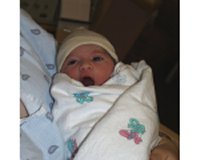 image017.jpg (5983 bytes)